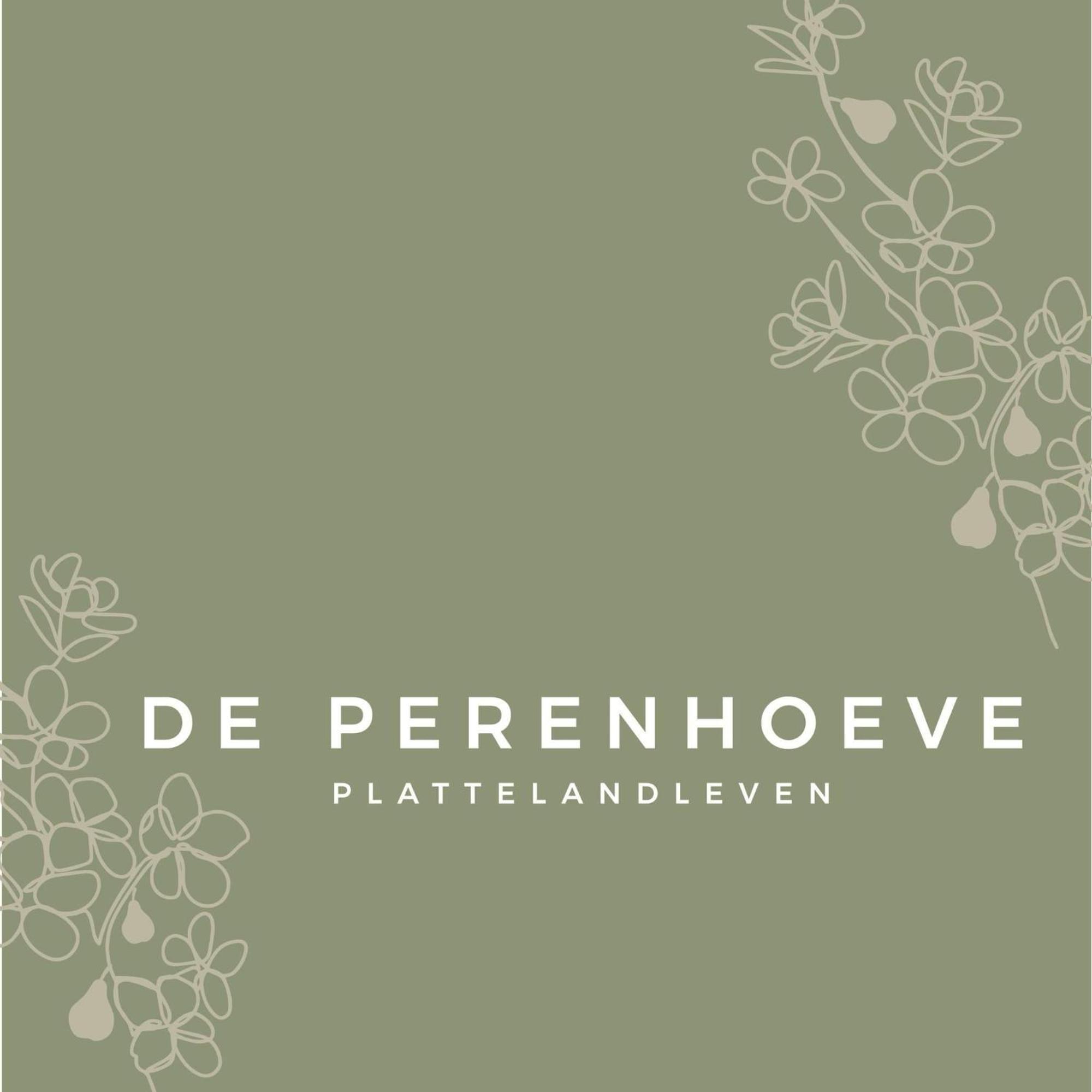 De Perenhoeve Ruinerwold Εξωτερικό φωτογραφία